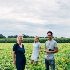 Faba Factory komt met Nederlandse tofu van veldbonen