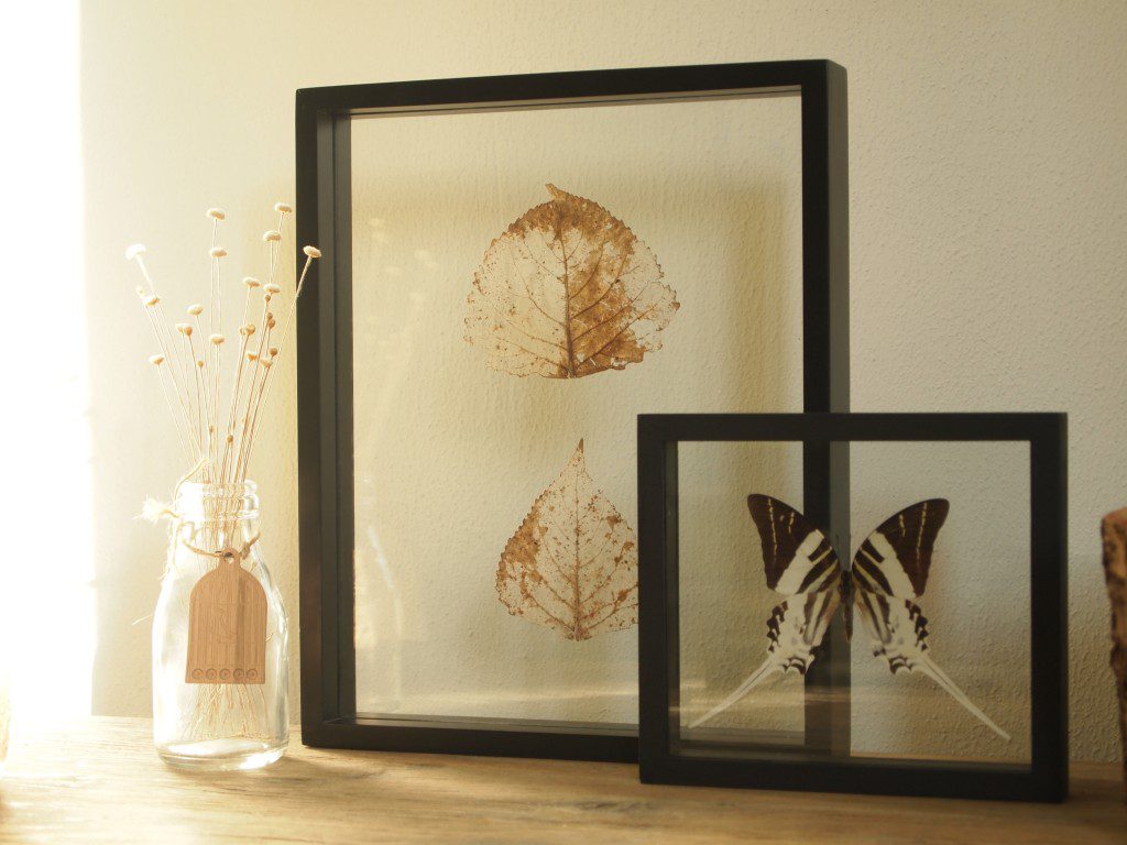 milou wijsbeck-diy-herfst-duurzaamheidskompas-inspiratie