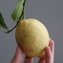 Natuurlijk schoonmaken met citroen