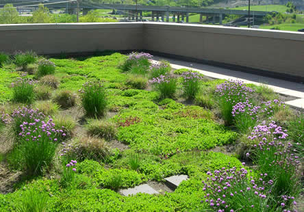 Duurzame groen dak - Duurzaamheidskompas