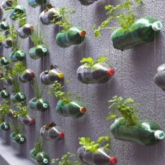 Duurzame trend: Urban Gardening